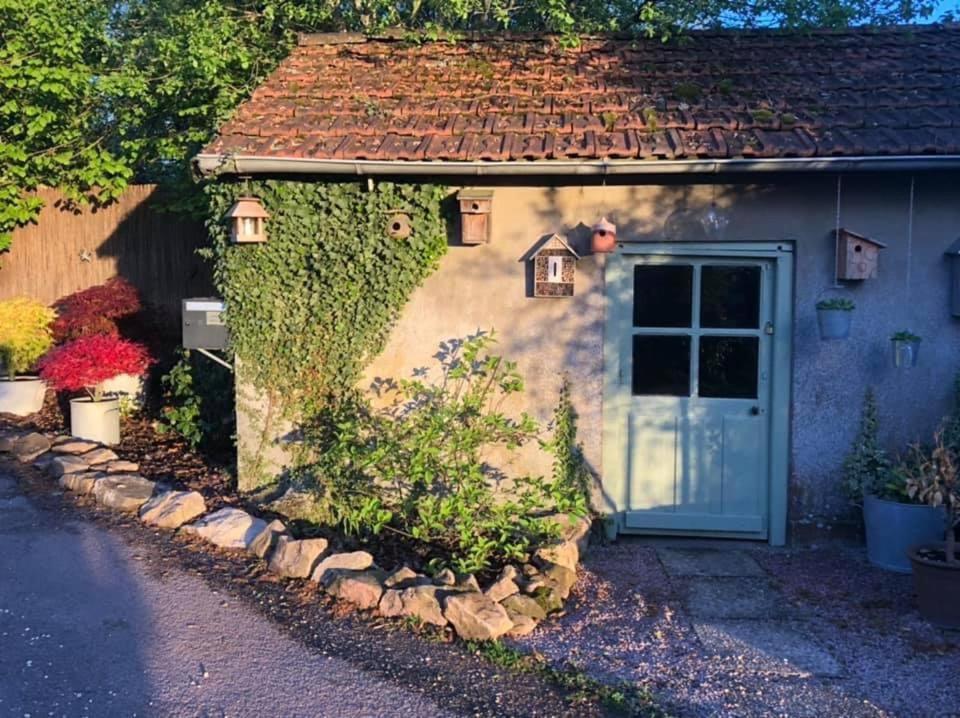 Gite Le Domaine D Orphee Marmagne  Eksteriør billede